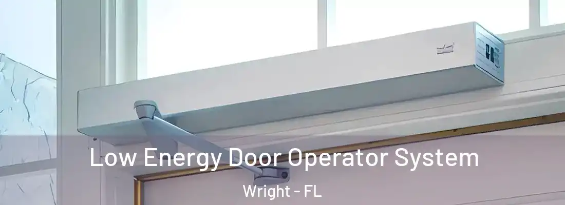 Low Energy Door Operator System Wright - FL