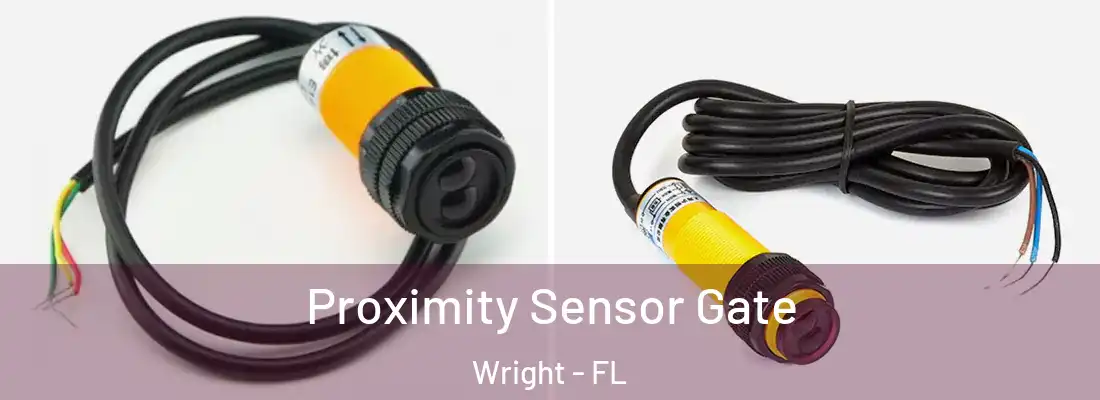 Proximity Sensor Gate Wright - FL